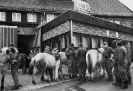 Bilder aus dem Jahr 1962_3